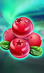 Winterberries